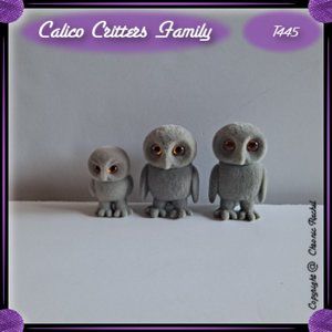 Treefellow Owl Family